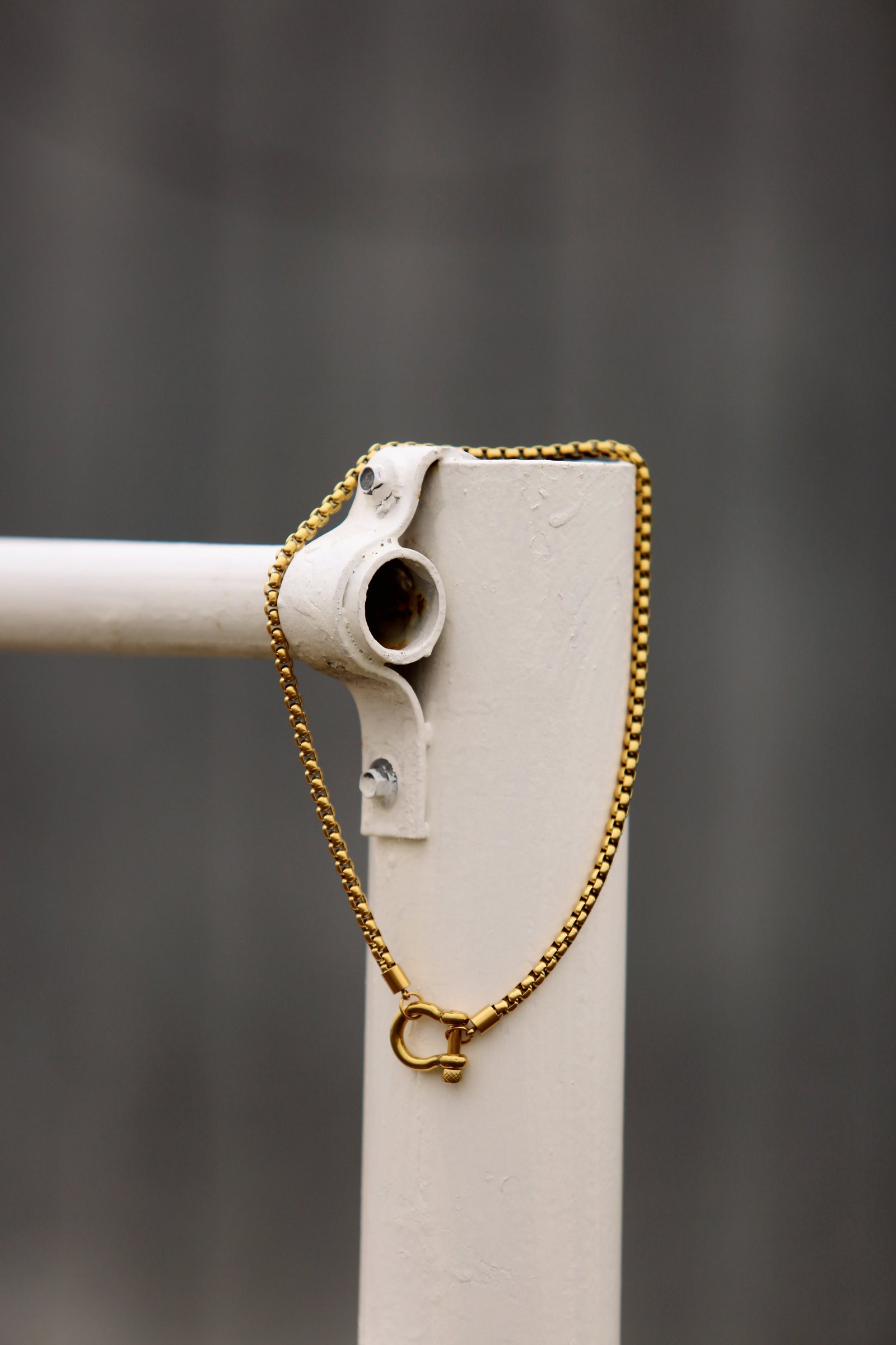 Lucky Me Horseshoe Toggle Necklace